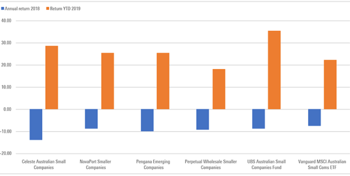Small-cap fund performance analysis