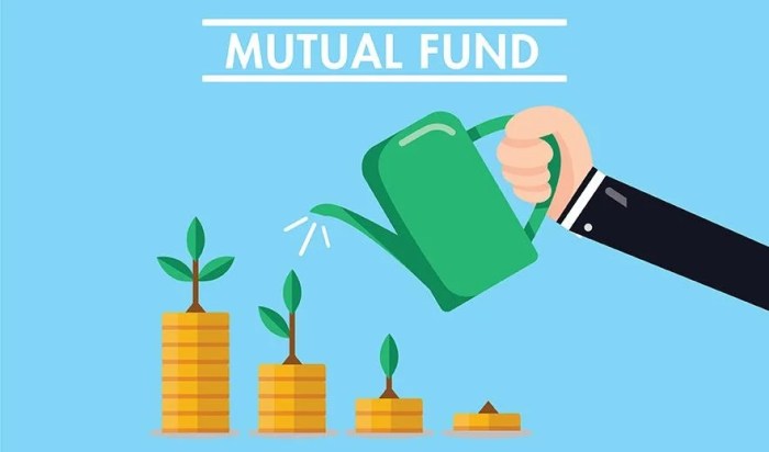 Mutual fund factors funds selection scheme selecting affecting